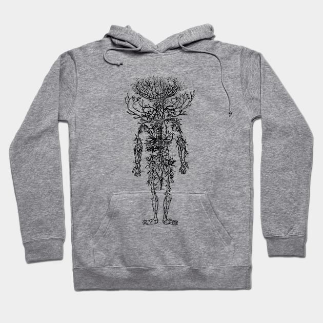 Human Anatomy The Arteries Hoodie by AntiqueImages